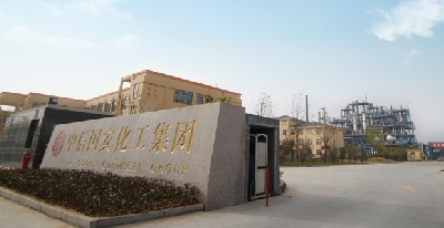 中國(guó)500強(qiáng)——中信國(guó)安化工集團(tuán)