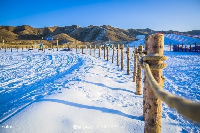 甘肅省黃河石林滑雪場