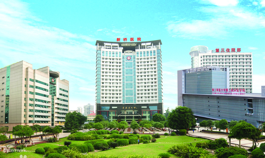 重慶新橋醫院護士站人臉識別擺閘案例