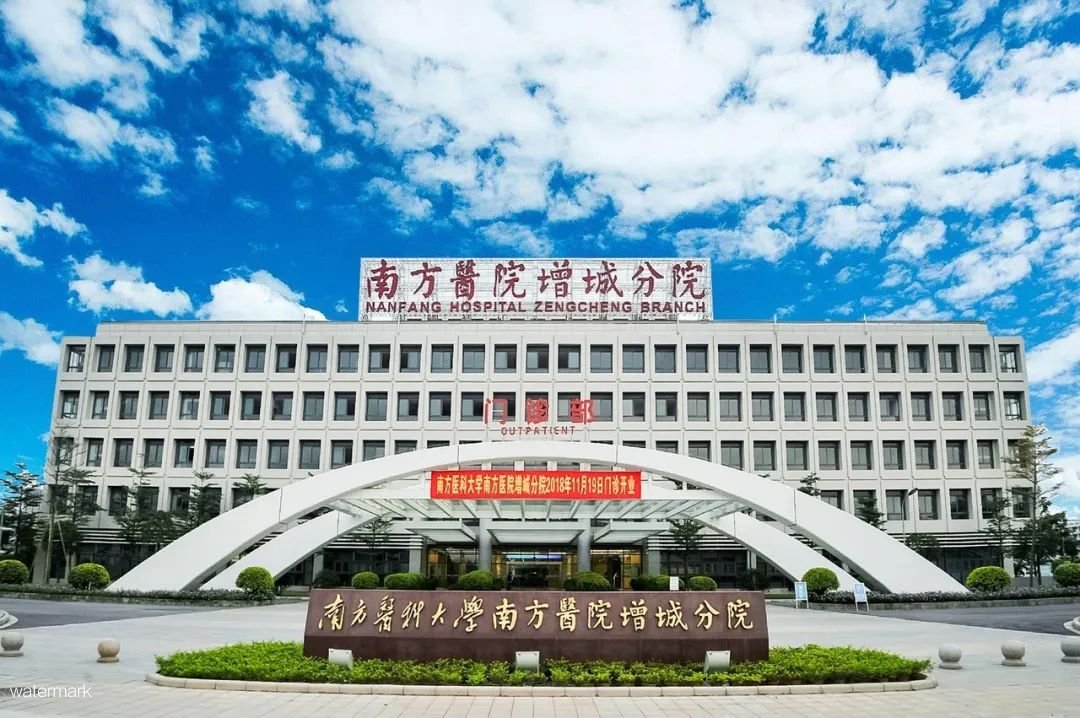 南方醫科大學——南方醫院增城分院擺閘項目