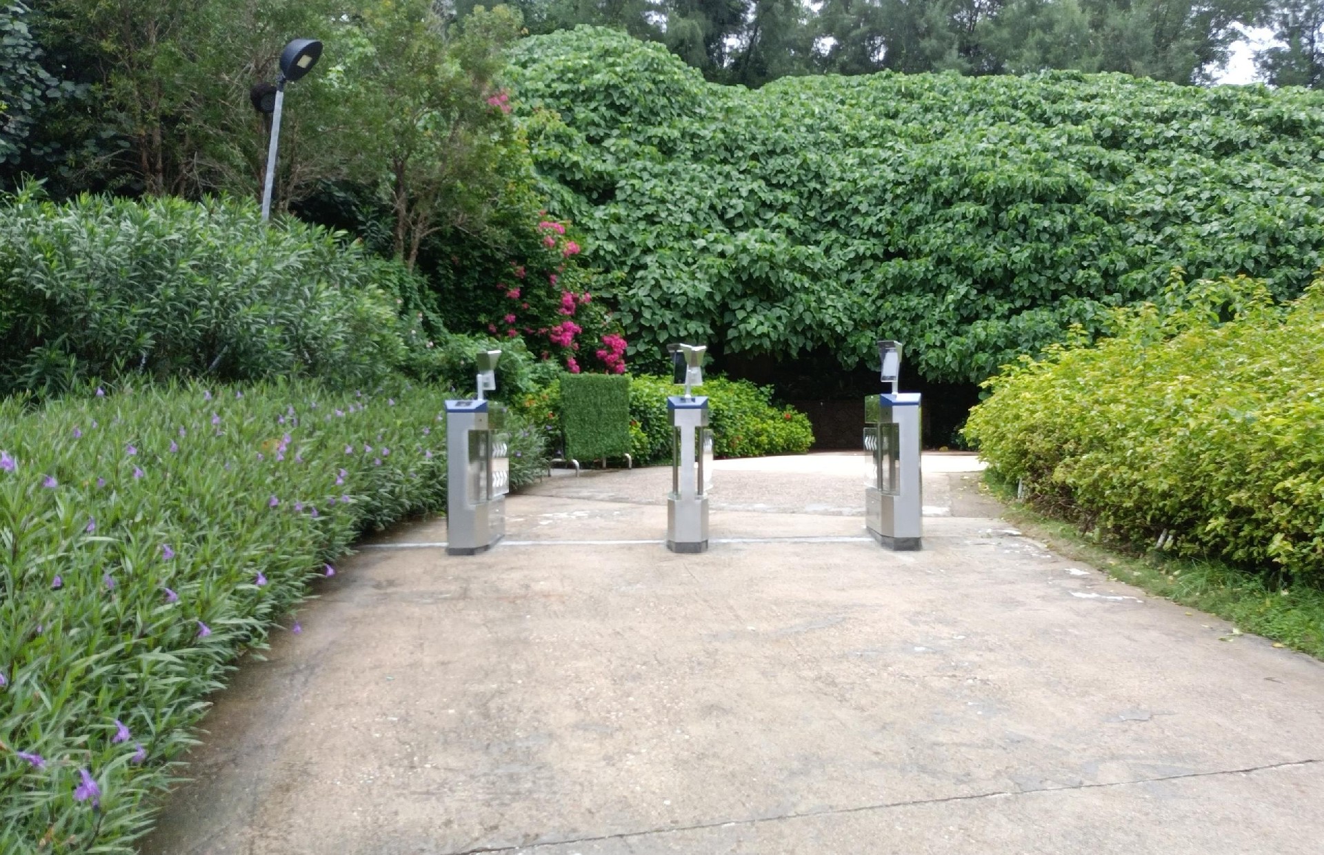 1660895486123077.jpg 1660895486123077.jpg