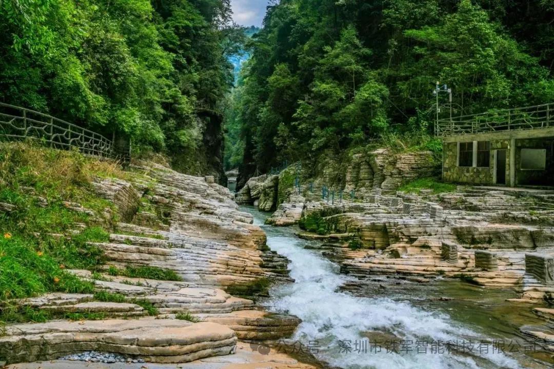 1742377313561121.jpg 1742377313561121.jpg