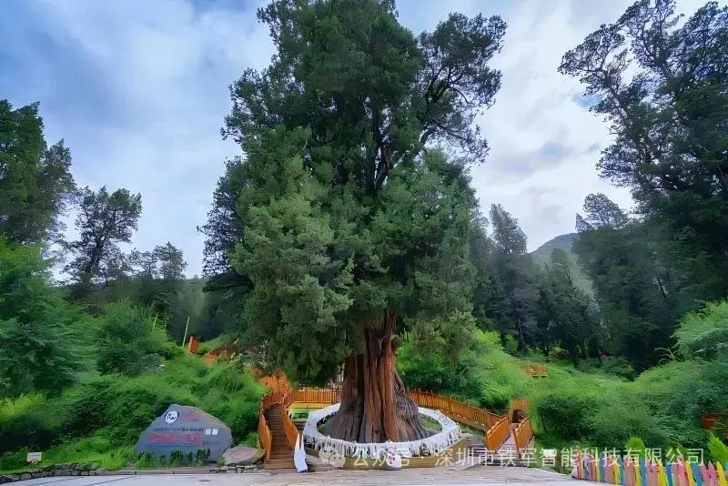 1755315497873922.jpg 2.jpg