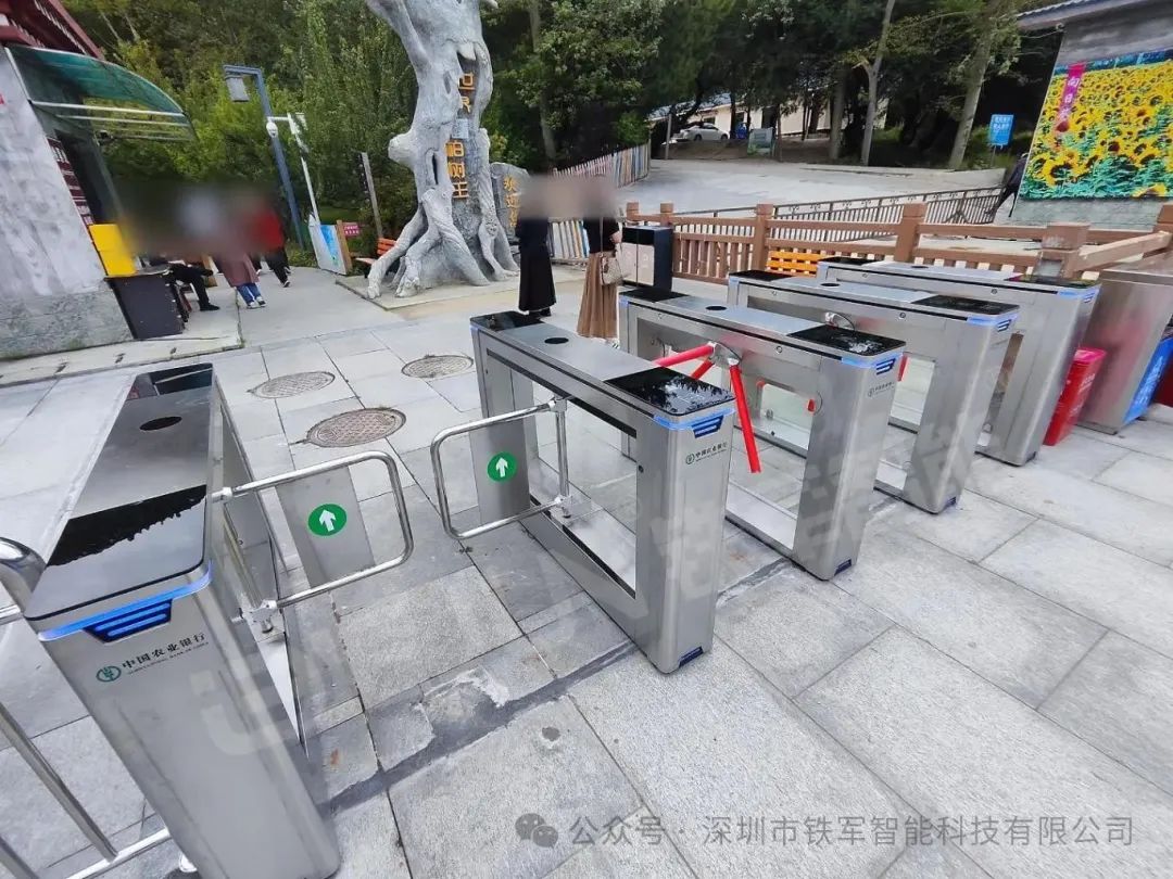 1762842292195469.jpg 5.jpg