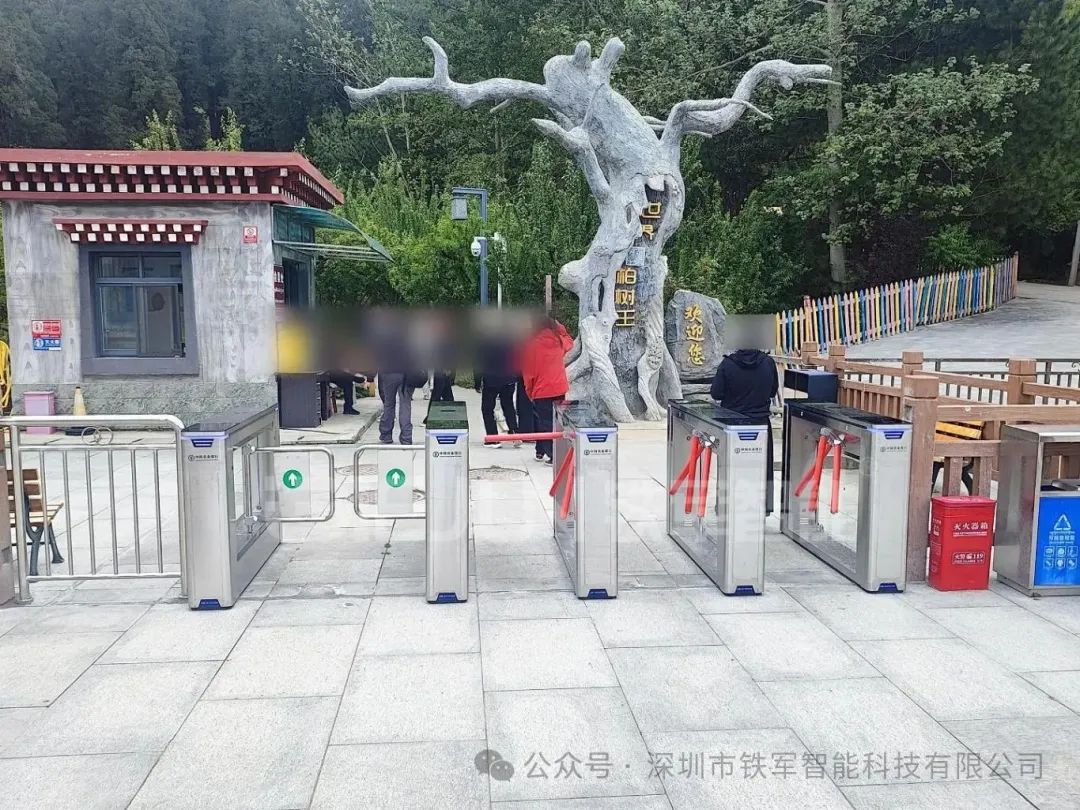 1767156876182367.jpg 4.jpg